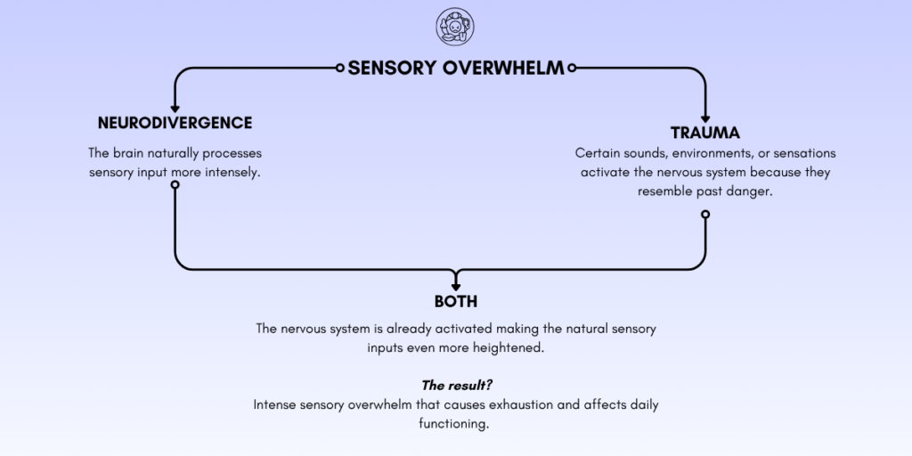sensory overwhelm, trauma vs neurodivergence