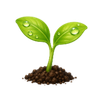 Open path icon